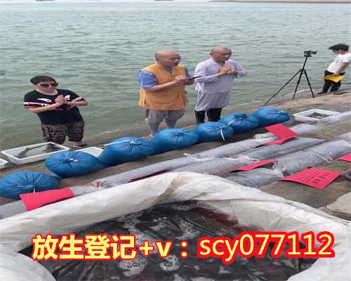 放生林蛙功德，放生的无限功德