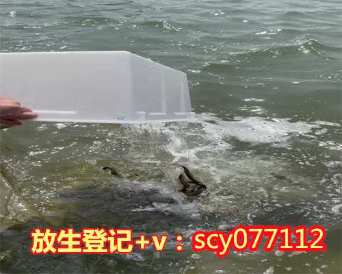 <b>上海放生小组上海，上海放生蛤蟆在哪里【上海哪个公园适合放生乌龟】</b>