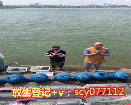 南京哪里适合放生兔，江苏南京市民租船放生鱼引江豚争抢觅食