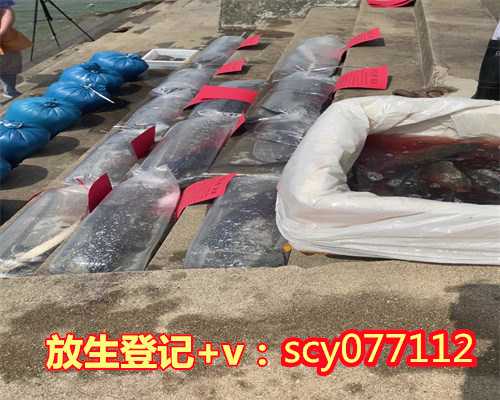 昆明放生乌龟咒，昆明放生最佳地点在哪里，昆明哪里允许放生鱼