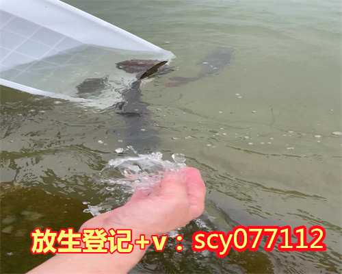 替孩子放生回向文新站,新站哪里放生蝌蚪最好【放生一般多久放一次】