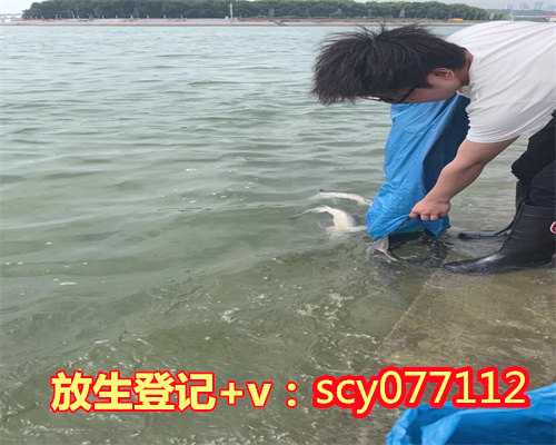 云南哪里放生蛤蟆最好，《云南阿吒力教经典研究》序