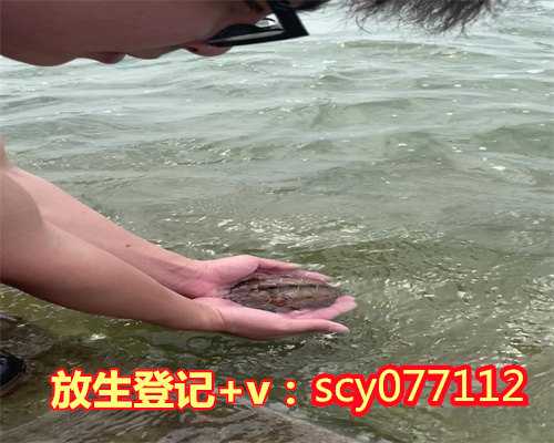 厦门放生的泥鳅能帮到家人子女吗（厦门冬天放生什么好鳝鱼）