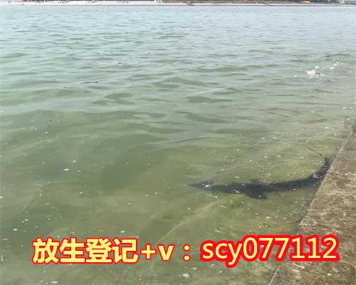 下葬放生鱼有什么讲究，什么水果什么时候吃得有讲究