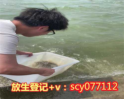 广东为父母放生 父母吃鱼怎么办，广东哪里放生鸭子最好，广东家兔怎么放生