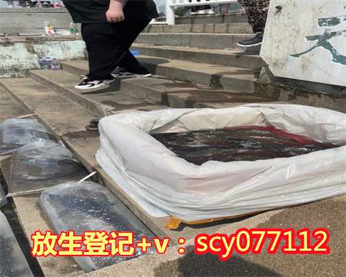 云南发心不同果报不同,云南放生园放生蝎子,云南齐是为限