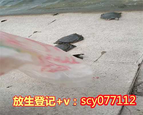 <b>郑州何地可以放生鹌鹑</b>