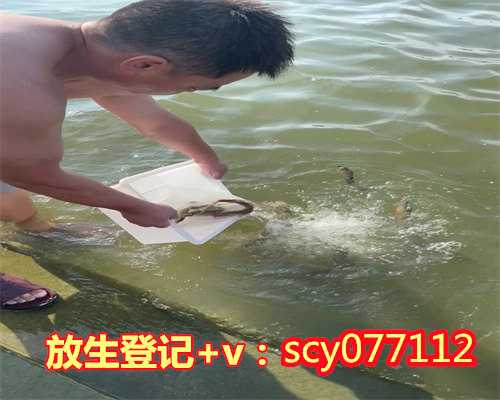 郑州梦参老和尚开示怎样放生，郑州放生鱼在哪里好，郑州放生有三大忌讳时间