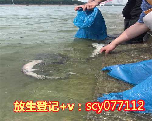 东莞何地可以放生动物，东莞市举行宗教界疫情防控工作现场会暨反邪教宣传教