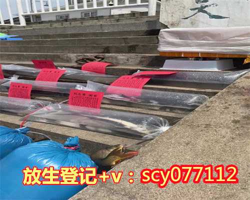 北京放生鱼地点，北京地区的摩崖石刻概述