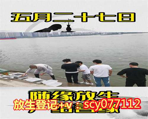 放生鸽子的功德和福报云南，云南放生群微信公众号【为家人祈福放生怎么说的