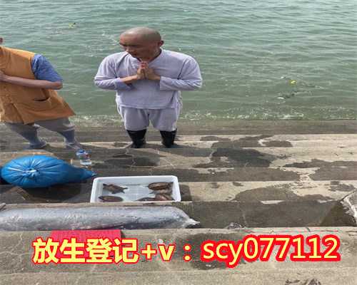 买东西放生什么意思，梦见放生是什么意思2