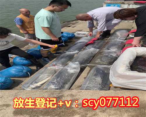 个人放生不能超过几点，索达吉堪布：微博教言不放过每一个能帮助别人的机会