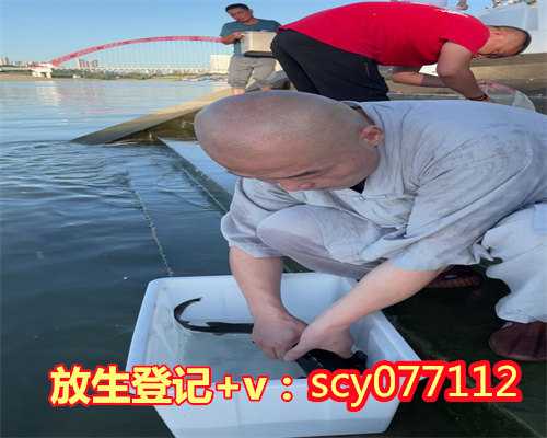 温州放生地点温州,温州鸭子去哪里放生【温州乌龟放生地点公布图】