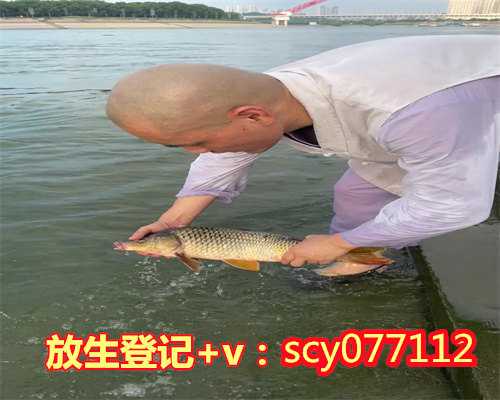 生日当天放生甲鱼好吗女孩可以吗