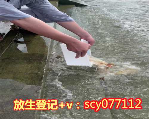 <b>香港放生蛇在哪里香港,香港红鲤鱼去哪里放生【香港放生鱼哪里买】</b>