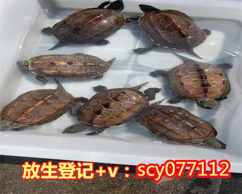 放生政策,警策文