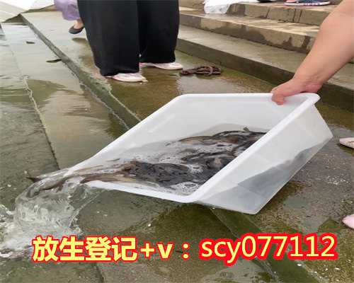 壮时多为他人忙广东,广东哪里适合放生兔子【放生秋蚓有什么好处吗】