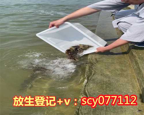 <b>石家庄附近放生最佳地点石家庄,石家庄哪里可以放生黑鱼【何谓放生】</b>