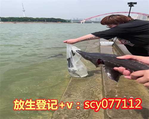 农历哪天祈福放生，星座是按农历的生日还是阳历？