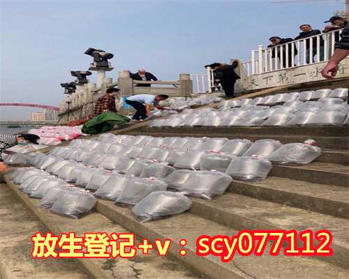 上海哪条河可以放生？（上海放生前念什么经最好）