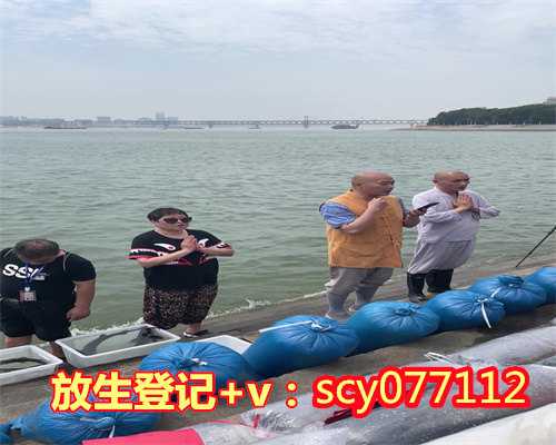 <b>北京放生园放生刺猬，北京风水怎么解释</b>