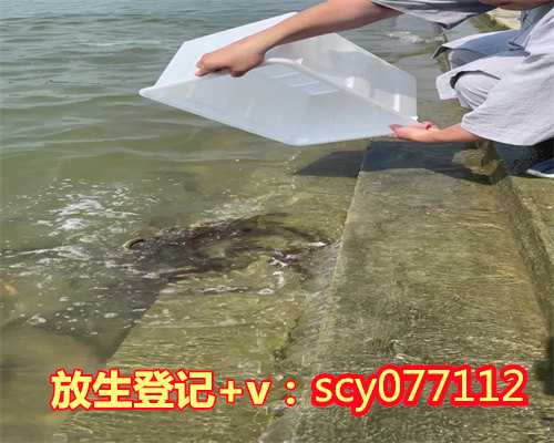 南京允许放生的水域在哪，网传南京紫金山现眼镜蛇野蛮放生害人害己害环境