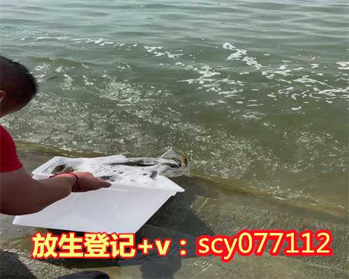 出钱放生人不去可以吗，每个人都可以活出人生好时节