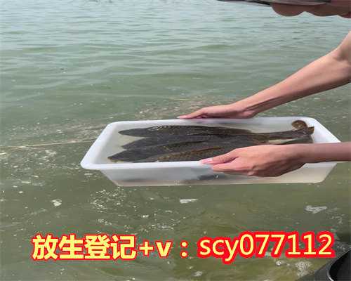 昆明生日买鱼放生怎么说