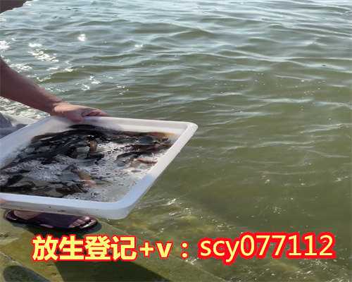 广西钓到红鲤鱼为什么要放生，广西哪里能放生鹌鹑，广西放生田螺对生态环境