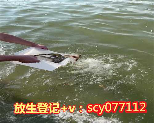 7.15放生好吗，梦见朋友生病好吗？能详细点吗？