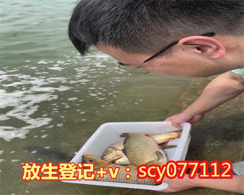 <b>海口放生王八的地方</b>