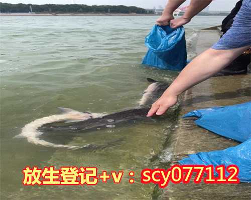 广东放生后的巨大感应（广东放生鱼放几条是吉利）