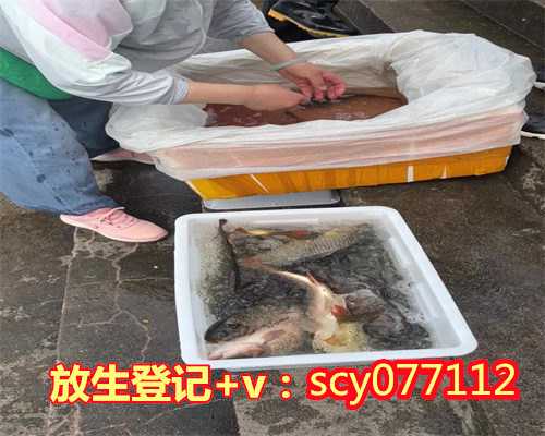 重庆哪里放生螺蛳重庆，重庆哪里放生王八最好【重庆放生的好地方】