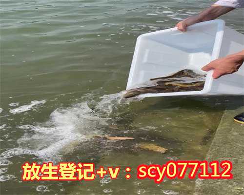 海口哪里放生蛇最好