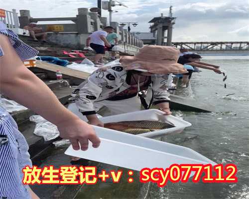 放生的话选择什么鱼最好吃，吃素是最好的放生放生从嘴巴做起