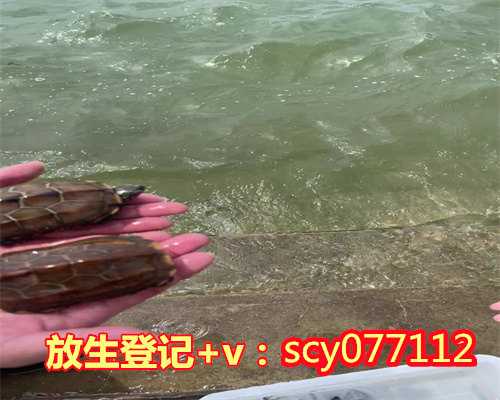 四川放生感应，四川哪里有放生地方，四川放生小组