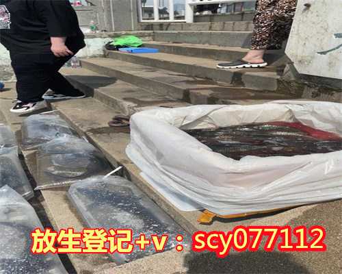放生青蛙的功德，抓捕野生青蛙出售执法人员查获放生