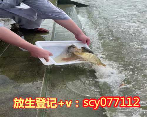 为什么放生的鱼会游回来，为什么要放生田螺？