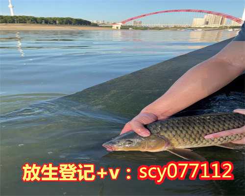 浙江每天一元放生群,浙江放生黄鳝放几条好,浙江冬天应该把蛤蟆放生到什么地