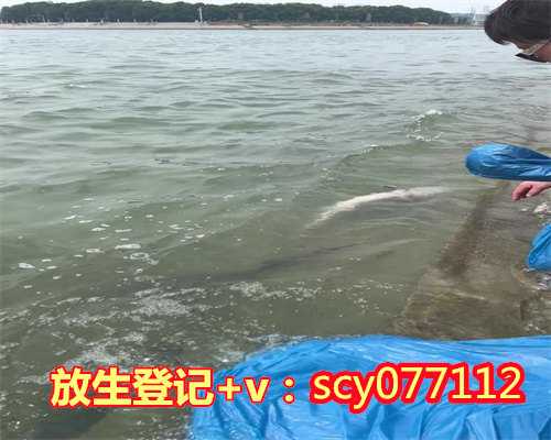 放生让我的面相变漂亮惠州,惠州哪里可以放生鲫鱼【惠州放生乌龟选哪里】