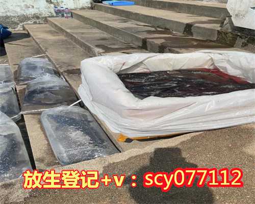 南昌放生动物在哪里，首届中国曹洞宗禅学国际研讨会新闻发布会在南昌举行