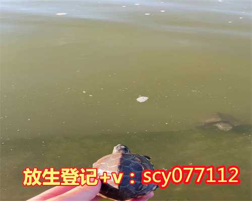 <b>广西布施放生鸟感应,广西放生和布施哪个功德大,广西鸭子放生哪里</b>