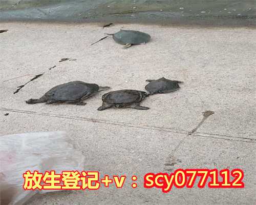 重庆放生消除业障最快的方法，重庆适合放生的水域，重庆黄埔区放生最好的地