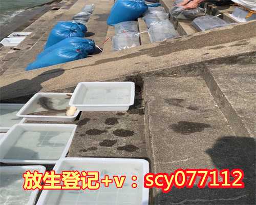 北京放生护生会，中国社科院世宗所“宗教社会学2014北京论坛”在北京召开