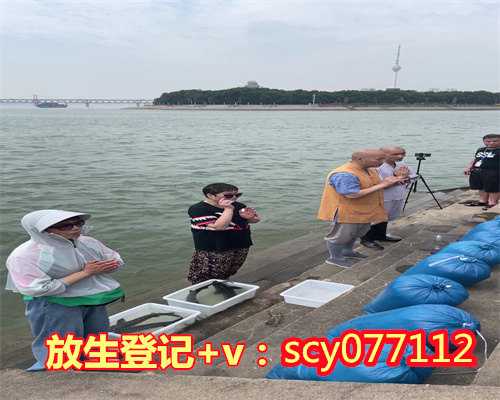 合肥哪里放生野生甲鱼，合肥市第一家宗教活动所创办的养老院正式启动