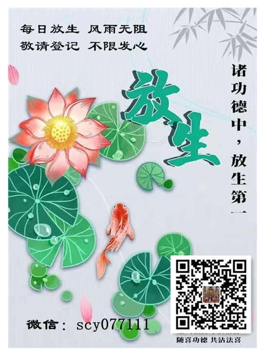 温州哪个地方适合放生(温州放生鱼的好处和坏处)