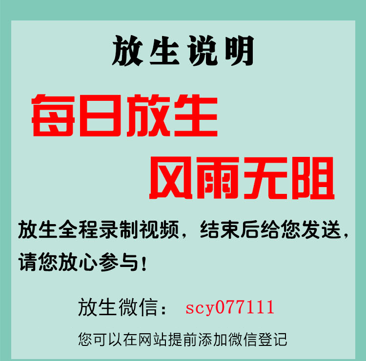 杭州2023年阳历12月乌龟放生最佳时间,杭州2023年农历八月放生吉日查询,杭州放生
